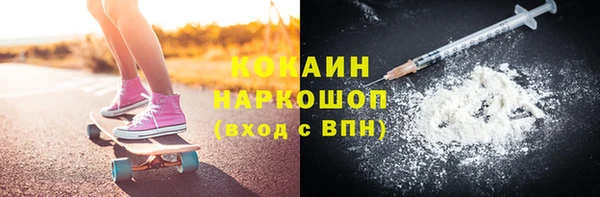гидра Наволоки