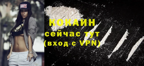 гидра Наволоки