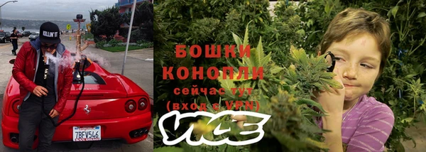 гидра Наволоки