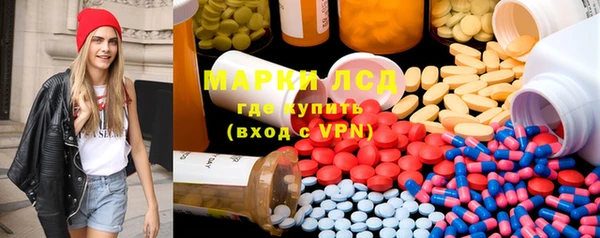 гидра Наволоки