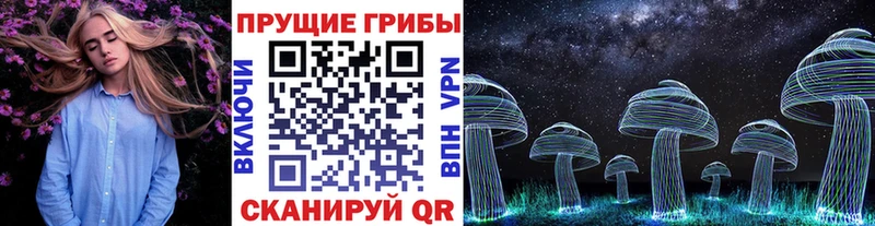 Псилоцибиновые грибы MAGIC MUSHROOMS Купить где Зея